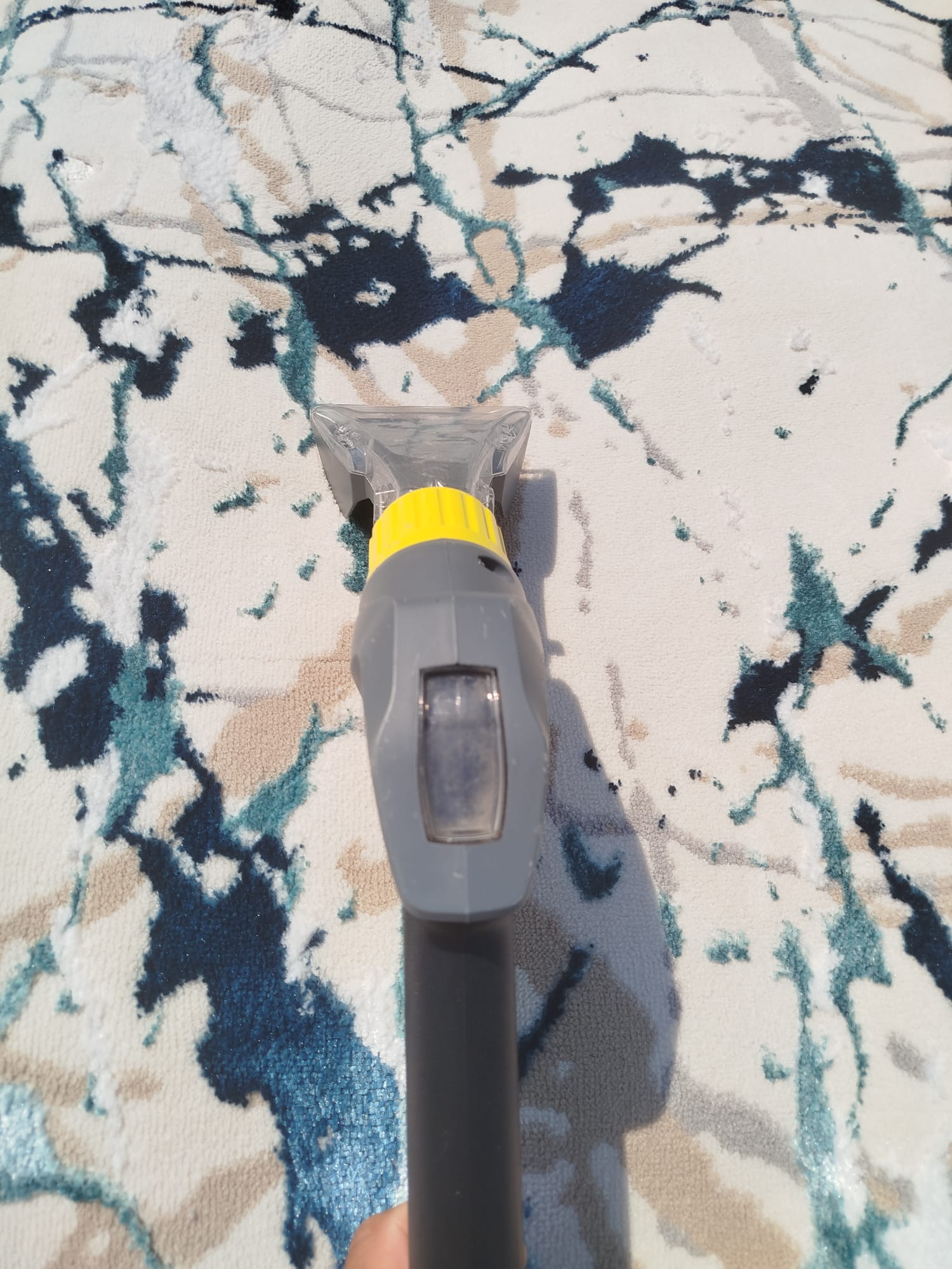 Tapete: limpeza Kärcher